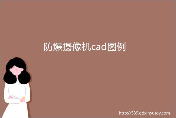 防爆摄像机cad图例