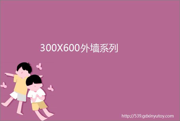 300X600外墙系列