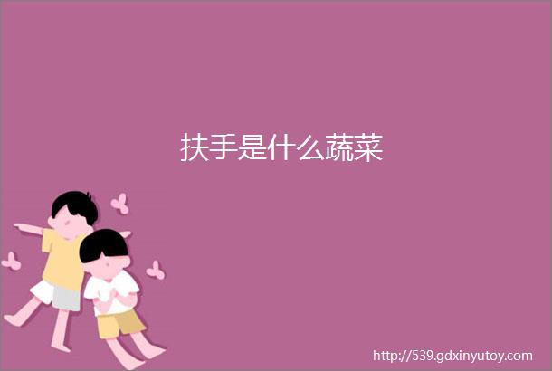 扶手是什么蔬菜