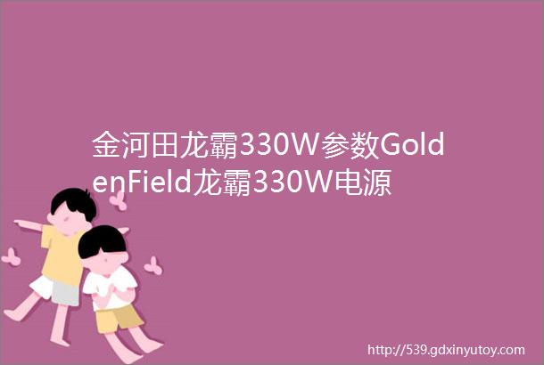 金河田龙霸330W参数GoldenField龙霸330W电源参数