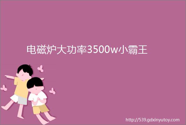 电磁炉大功率3500w小霸王