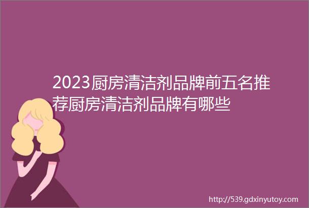 2023厨房清洁剂品牌前五名推荐厨房清洁剂品牌有哪些