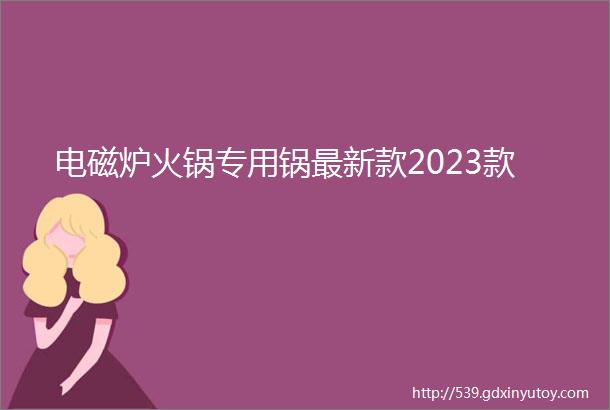 电磁炉火锅专用锅最新款2023款