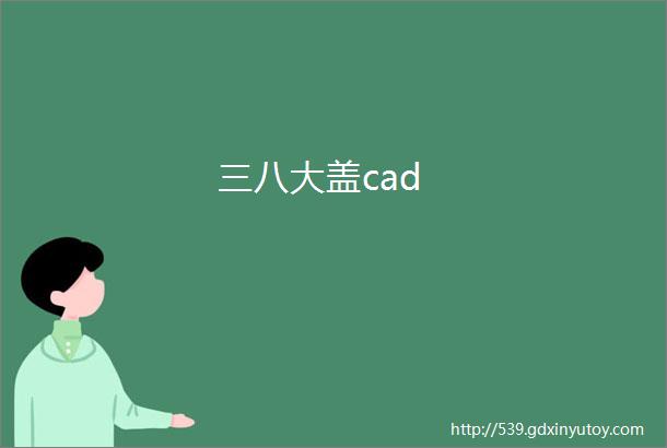 三八大盖cad