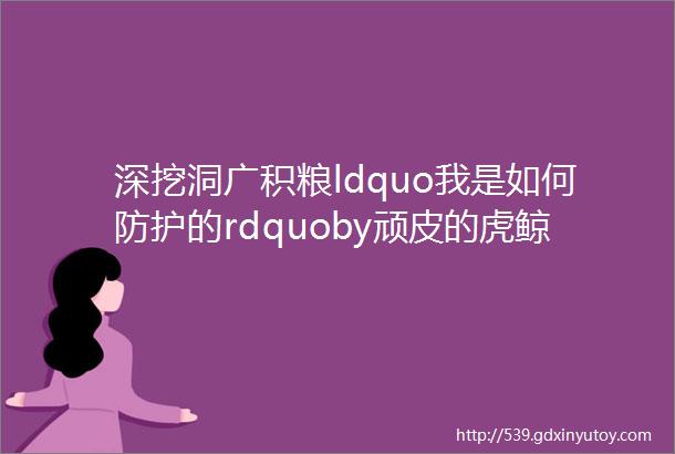 深挖洞广积粮ldquo我是如何防护的rdquoby顽皮的虎鲸