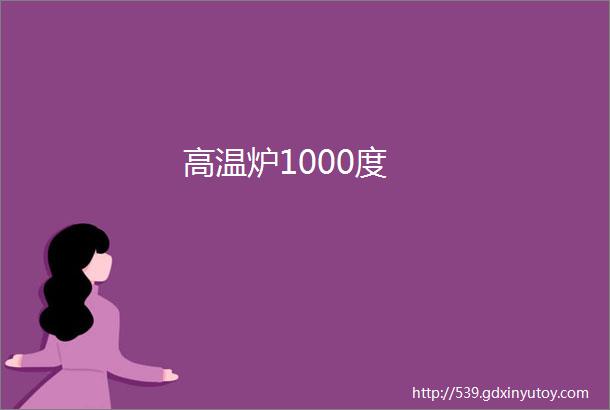 高温炉1000度