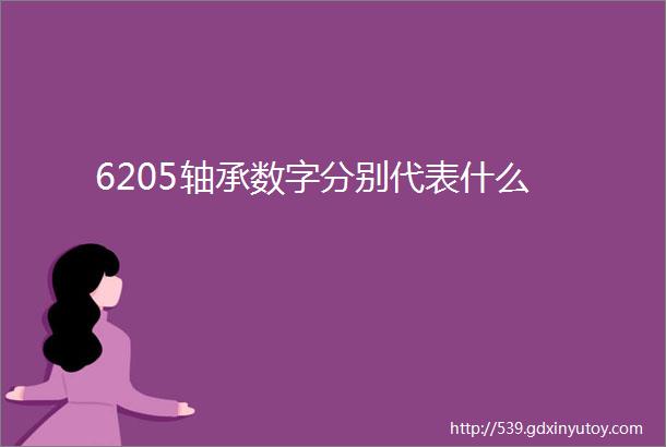 6205轴承数字分别代表什么