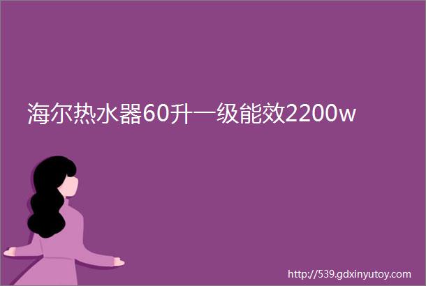 海尔热水器60升一级能效2200w