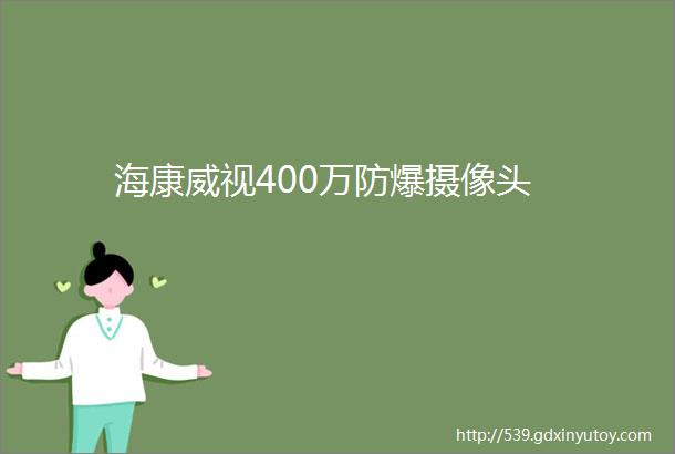 海康威视400万防爆摄像头