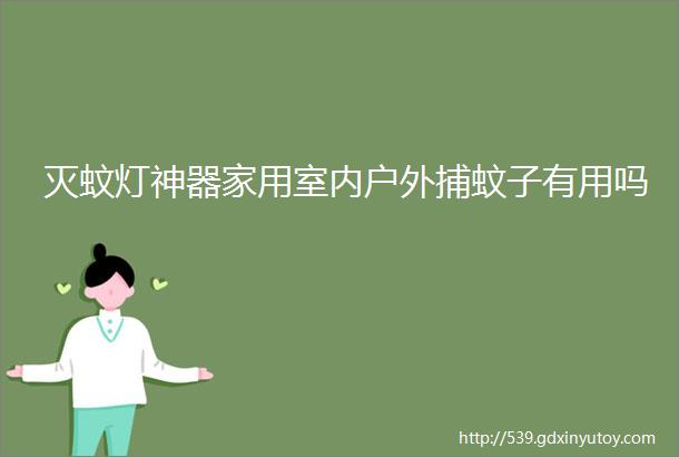 灭蚊灯神器家用室内户外捕蚊子有用吗