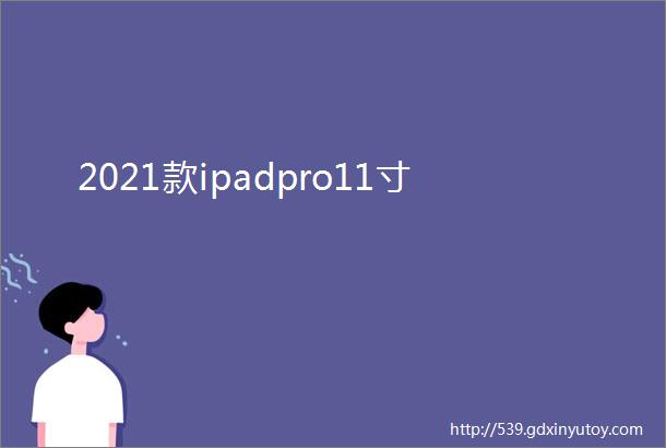 2021款ipadpro11寸