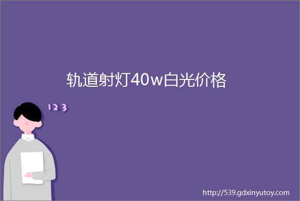 轨道射灯40w白光价格