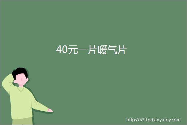 40元一片暖气片