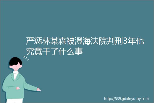 严惩林某森被澄海法院判刑3年他究竟干了什么事