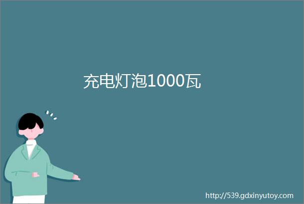 充电灯泡1000瓦